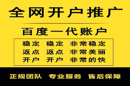 某电商平台的SEM推广实践与效果展示